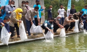 Kampung Nila Banjarwaru, Kawali, Ciamis